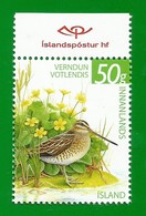 Island   2011 , Bird Verndun Votlendis  - Postfrisch / MNH / (**) - Ungebraucht