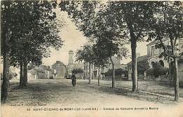 44 , ST ETIENNE DE MONT LUC , Avenue Du Calvaire ,* 195 79 - Saint Etienne De Montluc