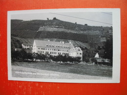 Steierm.Landes-Obst Und Weinbauschule Silberberg - Leibnitz