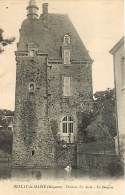 53 , MESLAY DU MAINE , Chateau Des Arcis , * 230 13 - Meslay Du Maine