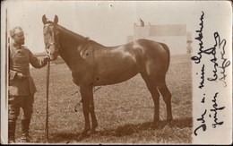 ! Alte Fotokarte 1915, Alfred Henkel Divisionsarzt 39. Division, Pferd, Horse, Gel. N. Rengshausen, Photo, 1. Weltkrieg - War 1914-18