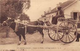 17-CHATELAILLON- RETOUR DE PÊCHE - ATTELAGE MODERNE - Châtelaillon-Plage