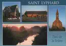 CPM  St Lyphard Parc De La Brière - Saint-Lyphard
