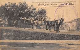 Béziers     34     Attelage Toulousain Aux Neuf écluses        (voir Scan) - Beziers