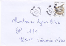 Nouvelle Calédonie, Lettre De KONE, 2000 ( NC7) - Briefe U. Dokumente