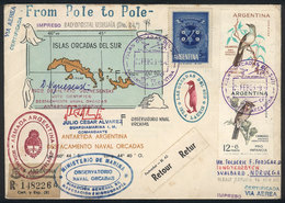 90 ARGENTINE ANTARCTICA (ORKNEY ISLANDS): MAIL SENT FROM SOUTH POLE TO NORTH POLE: - Altri & Non Classificati