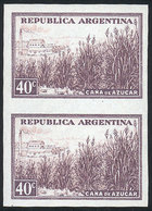 268 ARGENTINA: GJ.768P, 40c. Sugar Cane, Chalky Paper, IMPERFORATE PAIR, MNH, Superb - Altri & Non Classificati