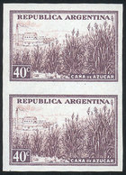 268 ARGENTINA: GJ.768P, 40c. Sugar Cane, Chalky Paper, IMPERFORATE PAIR, MNH, Superb - Sonstige & Ohne Zuordnung