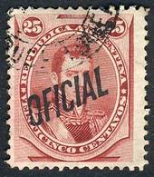 364 ARGENTINA: GJ.26, Used, Very Fine Quality. Catalog Value US$25. - Officials