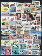 1030 FALKLAND ISLANDS: Lot Of Modern Sets And Souvenir Sheets, MNH, All Of Very Fine - Falklandinseln