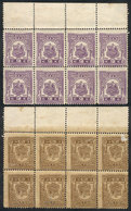1141 PERU: 2c. Revenue Stamp Of The Year 1920, Block Of 8 With A Second Impression On - Perú