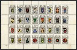 1230 UKRAINE: COATS OF ARMS: Sheet Of 32 Cinderellas, Excellent Quality, Very Nice! - Ucraina