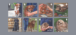 Jersey 2018   RSPCA   Dieren  Hond Kat Slang Uil   Dog Cat Snake Owl   Postfris/mnh/neuf - Neufs