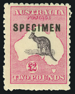 S Australia - Lot No.227 - Neufs