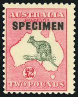 S Australia - Lot No.235 - Neufs