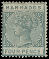 * Barbados - Lot No.306 - Barbados (...-1966)