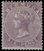 * Bermuda - Lot No.344 - Bermudes