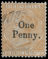 O Bermuda - Lot No.346 - Bermudas