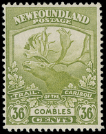 * Canada / Newfoundland - Lot No.463 - 1857-1861