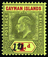 * Cayman Islands - Lot No.561 - Kaimaninseln