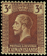 * Cayman Islands - Lot No.571 - Kaimaninseln