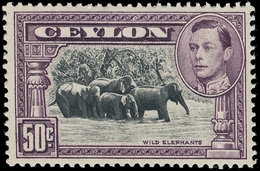 * Ceylon - Lot No.599 - Ceylon (...-1947)