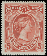 * Falkland Islands - Lot No.681 - Falkland