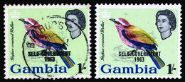 O Gambia - Lot No.725 - Gambie (...-1964)