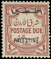 ** Jordan - Lot No.895 - Jordanië