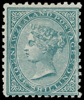 * New Zealand - Lot No.1178 - Usati