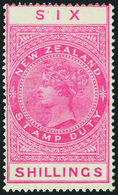 * New Zealand - Lot No.1197 - Usati