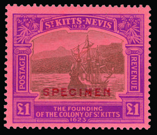 S St. Kitts-Nevis - Lot No.1350 - St.Kitts Y Nevis ( 1983-...)