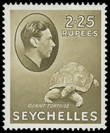 * Seychelles - Lot No.1416 - Seychellen (...-1976)