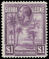 * Sierra Leone - Lot No.1442 - Sierra Leona (...-1960)