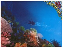 (700) Australia - QLD - Great Barrier Reef - Great Barrier Reef