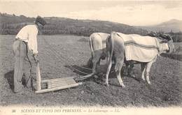 LE LABOURAGE- SCENE ET TYPES DES PYRENNEES - Attelages