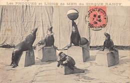 LES PHOQUES ET LIONS DE MER DU CIRQUE RANCY - Circo