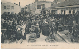 44 // MARCHECOUL     Le Marché, 16 - Machecoul