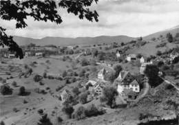 68-MUNSTER- VALLEE DE MUNSTER- HOHRODBERG - Munster