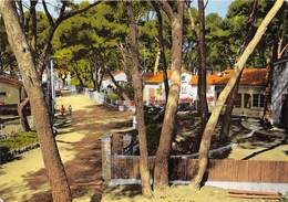 83-HYERES-LES-PALMIERS- LES PESQUIERS - Hyeres