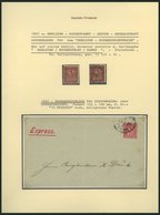 BERLIN B 204 (*), O, PACKETFAHRT GESELLSCHAFT: 1896, Berliner Buchhändler Marke, Ohne Gummi Und Gestempelt, Feinst/Prach - Postes Privées & Locales