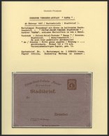 DRESDEN C K BRIEF, HANSA: 6 Verschiedene Kartenbriefe (davon 5 Ungebraucht) Sowie 2 Verschiedene Streifbänder (1x Gebrau - Correos Privados & Locales