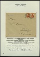 MEMELGEBIET O,Brief,BrfStk,**,* , Reichhaltige Saubere Teilsammlung Memel Von 1920-1922 Mit Vielen Besonderheiten, Bogen - Memelland 1923