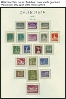 SAMMLUNGEN **, 1955-83, Kompletter Postfrischer Sammlungsteil Auf Leuchtturm Falzlosseiten, Pracht - Collezioni