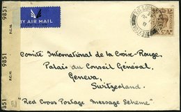 BRITISCHE MILITÄRPOST 1943, Kriegsgefangenenbrief Mit Militärzensur Und Zensurstreifen, Handschriftlich Red Cross Postag - Oblitérés