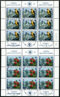 JUGOSLAWIEN 1406/7KB O, 1970, Naturschutzjahr, Kleinbogen, Ersttags-Sonderstempel, Pracht, Mi. 60.- - Otros & Sin Clasificación