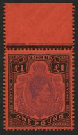BERMUDA-INSELN 116c **, 1951, 1 £ Schwarz/violett Auf Scharlach, Gezähnt 13 (SG 121d), Postfrisch, Pracht - Bermudes