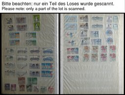 SLG., LOTS DEUTSCHLAND O,** , Ca. 1951-2001, Meist Gestempelte Dublettenpartie Bundesrepublik In 3 Einsteckbüchern, Fast - Sammlungen