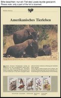 SONSTIGE MOTIVE Brief,** , 1987,Wildlife America - Amerikanisches Tierleben Im Spezial Ringbinder, Dabei 50 Verschiedene - Other & Unclassified