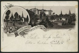 DEUTSCHLAND ETC. HEIDE In Holstein, Eine Farbige Lithografie Von 1896, Pracht - Sonstige & Ohne Zuordnung